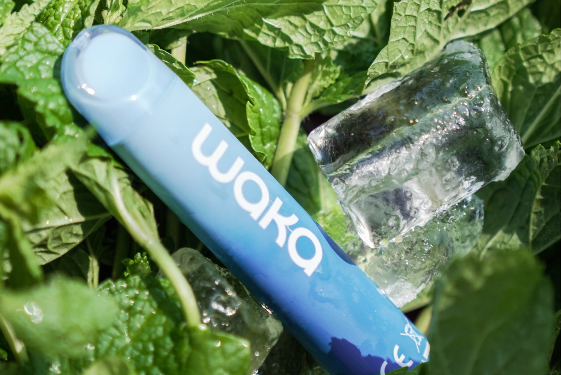 What Temperature Settings Are the Best for Vapes?